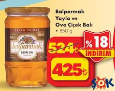 BALPARMAK YAYLA VE OVA SÜZME ÇİÇEK BALI 850 G fiyat ve kampanya bilgisi
